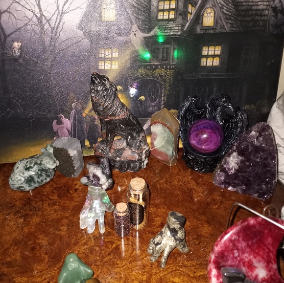 Contest - Picture 5 of 10